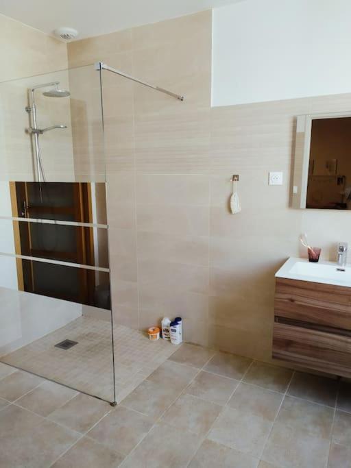 Maison De Charme Proche Gare Et Centre Ville Gaillac Eksteriør billede