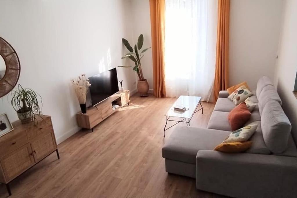 Maison De Charme Proche Gare Et Centre Ville Gaillac Eksteriør billede